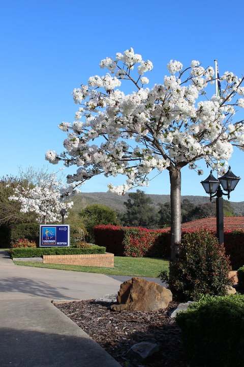 Hume Country Motor Inn - Dalby Accommodation 0