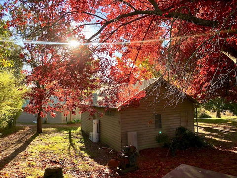 Acheron Valley Country Estate - Dalby Accommodation 5