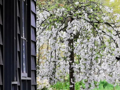 Acheron Valley Country Estate - Dalby Accommodation 1