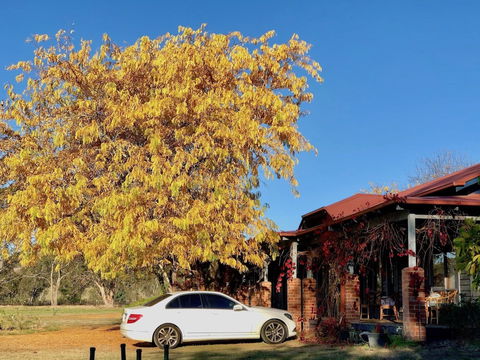 Acheron Valley Country Estate - Dalby Accommodation 6