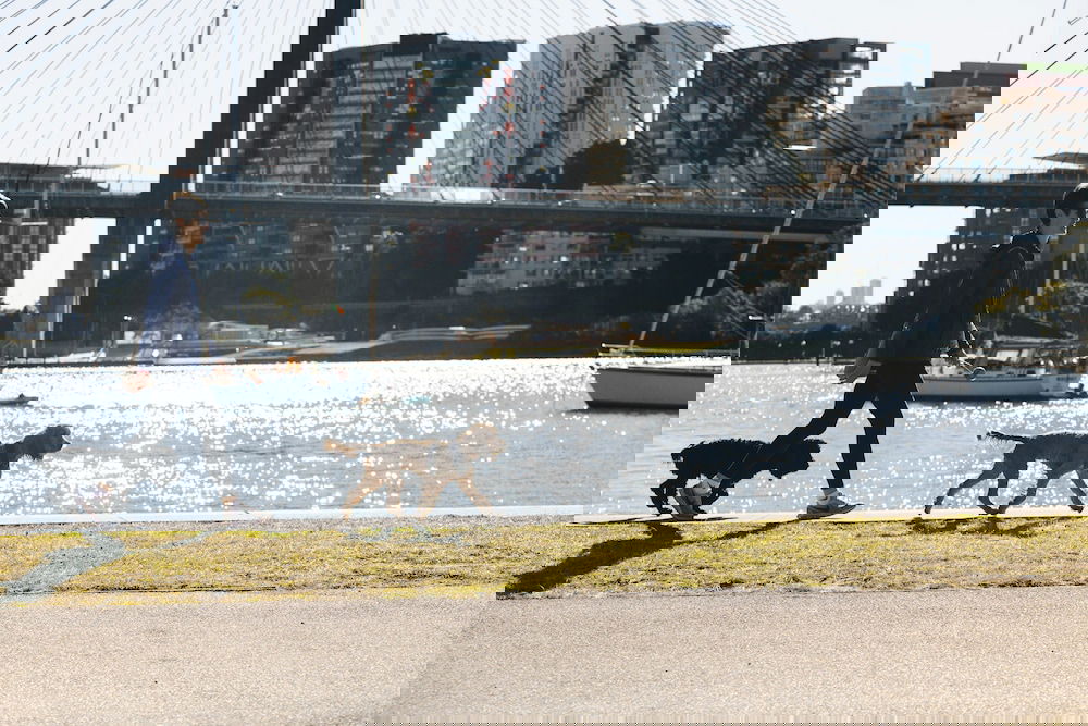 Glebe NSW Dalby Accommodation