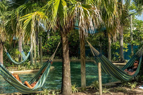 Summer House Backpackers Cairns - Dalby Accommodation 2