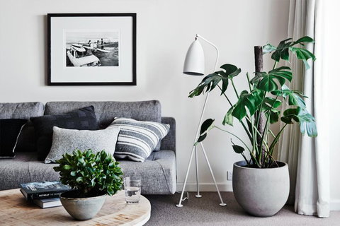 Cumberland Lorne Resort - Dalby Accommodation 4