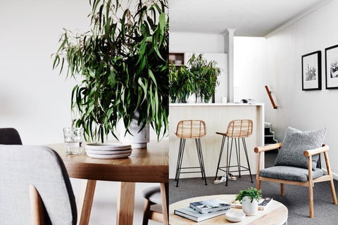 Cumberland Lorne Resort - Dalby Accommodation 2