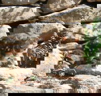 Jenolan Caves House - Dalby Accommodation