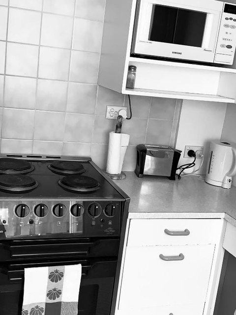 Lemontree Cottage - Dalby Accommodation 5