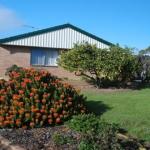 Lemontree Cottage - Dalby Accommodation 0