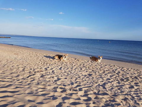 Abbey Beach Shack - Dalby Accommodation 5