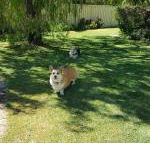 Abbey Beach Shack - Dalby Accommodation