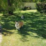 Abbey Beach Shack - Dalby Accommodation 0