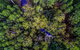Saintys Creek Cottage - thumb 4