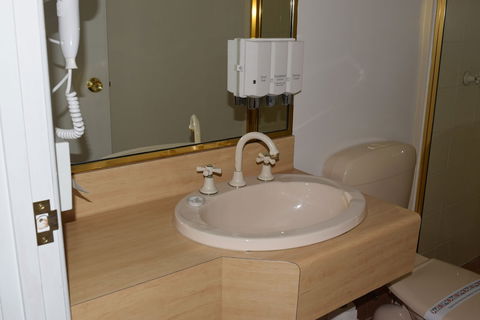 Warwick Vines Motel - Dalby Accommodation 2