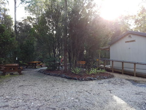 Tahune Air Walk Lodge - Dalby Accommodation 3