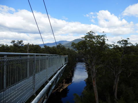 Tahune Air Walk Lodge - Dalby Accommodation 5