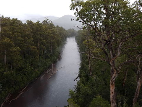 Tahune Air Walk Lodge - Dalby Accommodation 2