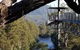 Tahune Air Walk Lodge - thumb 0