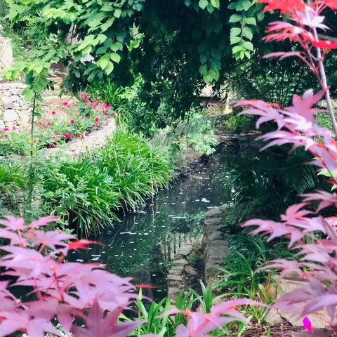 Aldgate Creek Cottage Bed & Breakfast - Dalby Accommodation 7