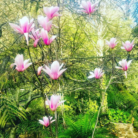 Aldgate Creek Cottage Bed & Breakfast - Dalby Accommodation 3