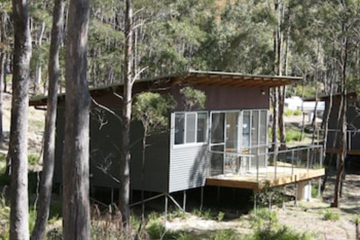 Avoca TAS Dalby Accommodation