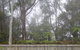 Buddha Cottage Springbrook - thumb 6