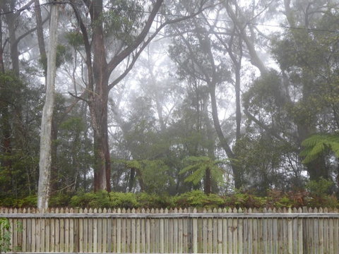 Buddha Cottage Springbrook - Dalby Accommodation 6
