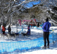 Cloud 9 Alpine Lodge - Dalby Accommodation