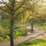 A Suite Spot In The Hills - Dalby Accommodation 0