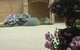 Fairways Bed & Breakfast At Jerilderie - thumb 7