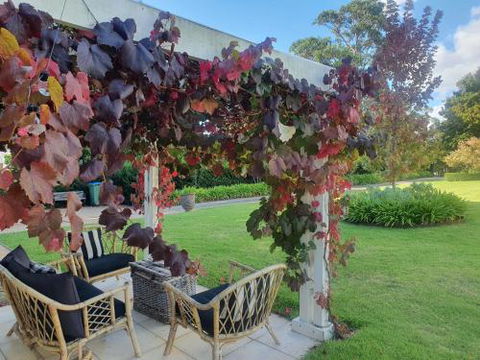 The Cottage - Dalby Accommodation 6