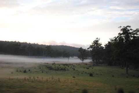 A Slice Of Paradise - Dalby Accommodation 3