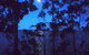 Bruny Island Varuna - thumb 4
