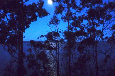 Bruny Island Varuna - Dalby Accommodation 4
