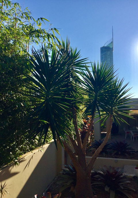 Villa Roma On Capri - GC - Dalby Accommodation 0