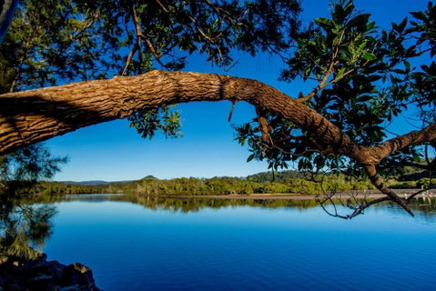 Reflections Holiday Parks Ferry Reserve - Dalby Accommodation 4