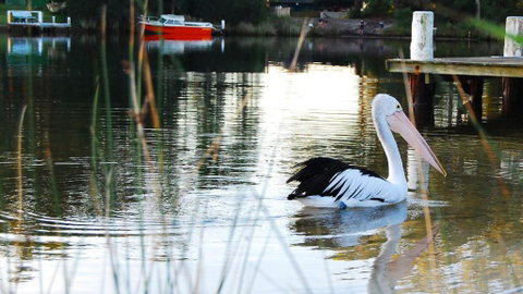 Riverfront Delight - Dalby Accommodation 4