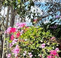 Crows Nest Motel - Dalby Accommodation