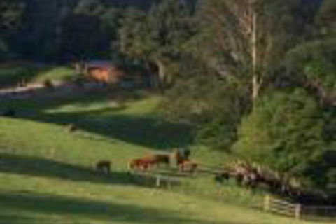 Amaroo Valley Springs - Dalby Accommodation 0