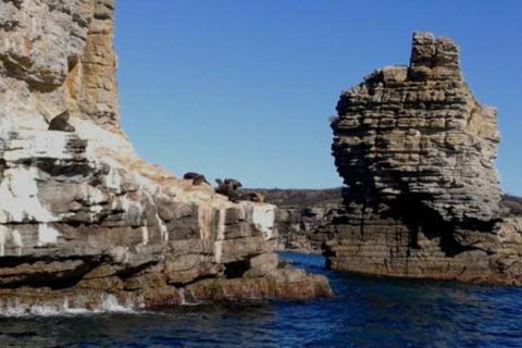 Summer Retreat At Callala Beach - Dalby Accommodation 7