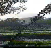 Jasmine's Cottage - Dalby Accommodation