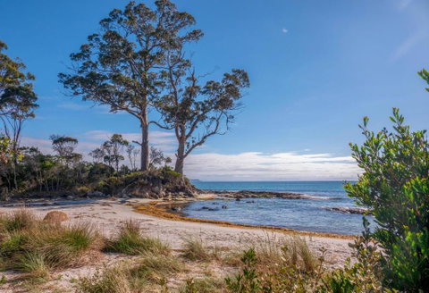 Adventure Bay Holiday Home - Dalby Accommodation 3