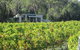 Just Red Wines Vineyard Cabins - thumb 3