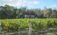 Just Red Wines Vineyard Cabins - thumb 6