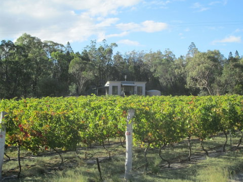 Just Red Wines Vineyard Cabins - Dalby Accommodation 6