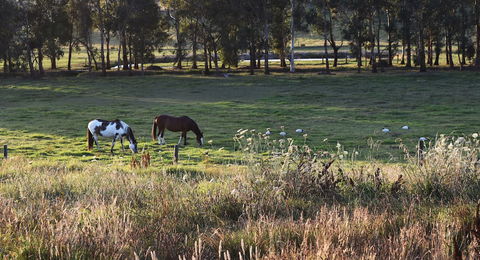 Labertouche Gypsy Creek Winery - Dalby Accommodation 3