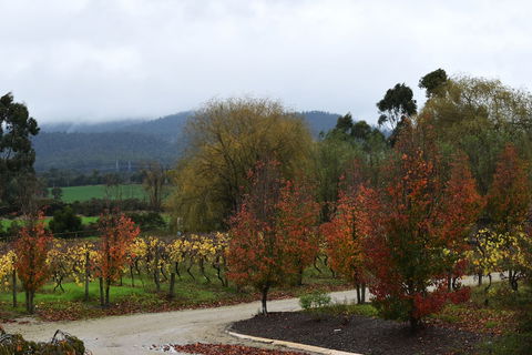 Labertouche Gypsy Creek Winery - Dalby Accommodation 5