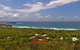 Fingal Beach House 14 Lagoon Road - thumb 0