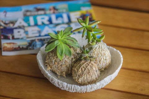 Airlie Guest House - Dalby Accommodation 1