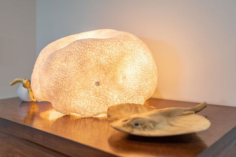 Airlie Guest House - Dalby Accommodation 2