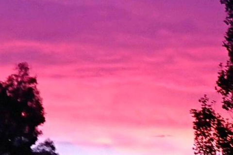 Abelia BIG SPA NO 1 Cottage - Dalby Accommodation 6