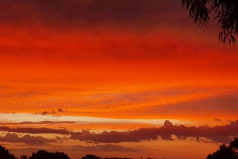 Abelia BIG SPA NO 1 Cottage - Dalby Accommodation 4